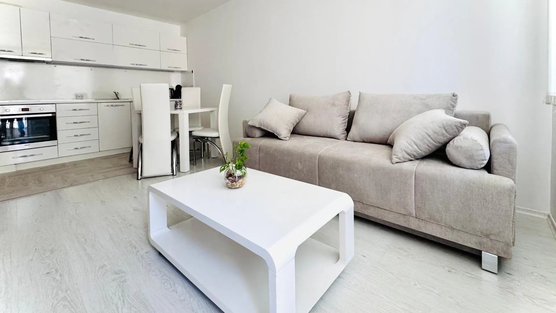 Apartment Park Suite